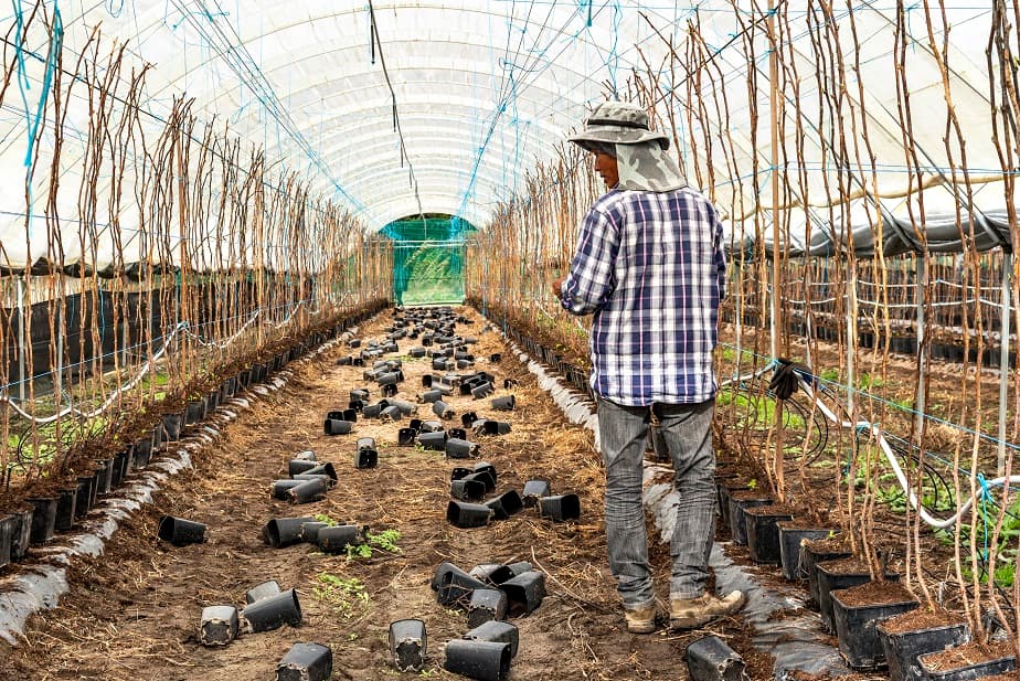 Créditos: Paulete Matos